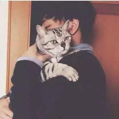 少年抱猫背景,一段难忘的童年回忆