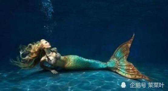 美人鱼真实照片,真实照片揭示神秘海洋生物